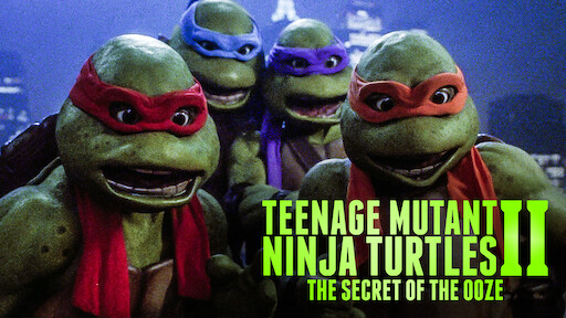 Watch Teenage Mutant Ninja Turtles III | Netflix Watch Teenage Mutant Ninja Turtles III | Netflix